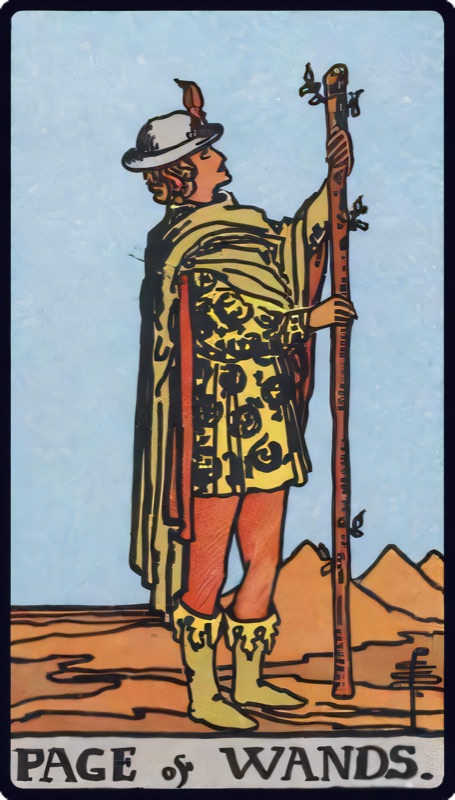 Pajem de Paus